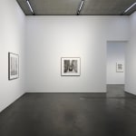JOHN RIDDY, Palermo, 2012–16, (Series)