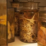 FIONA TAN, Depot, 2015