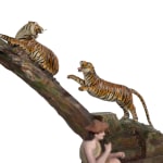 Thumbnail of additional image