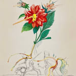 Eiichi Shibuya, Flower A, 1970s