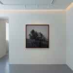 Eurico Lino do Vale, Volterra XVII, 1997