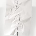 Eduardo Basualdo, Velocidad Absoluta, 2010