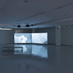 Ilê Sartuzi, queda, 2021