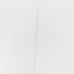 Fernanda Gomes, sem título [untitled] , 2019