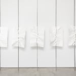 Eduardo Basualdo, Velocidad Absoluta, 2010