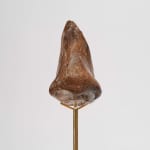 Bruno Baptistelli, Linguagem [Language], 2015