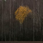 Antti Laitinen, Autumn Act II, 2021