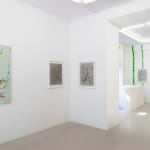 Anna Tuori, Herbaario (lautasliinalla) / Herbarium (with a serviette), 2024