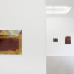 Elina Merenmies, Iloinen hauta / Fröjdefull grav / A Joyous Grave, 2015–2022