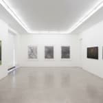 Antti Laitinen, Charcoal and Ice I, 2023–24