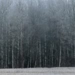 Antti Laitinen, Autumn Act II, 2021
