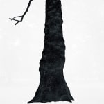 Santeri Tuori, Black Tree 1, 2025