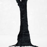 Santeri Tuori, Black Tree 1, 2025