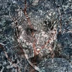 Santeri Tuori, Immediate Nature 7⎜ Bella, 2025