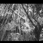 Lêna Bùi, Filaments no.3, 2024
