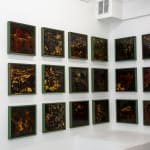Trương Công Tùng, Journey of a piece of soil, 2013 - 2016