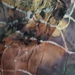 Victoria Pham, Banyan, 2025
