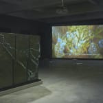 Phan Thảo-Nguyên, Becoming Alluvium, 2019 - ongoing