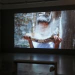 Phan Thảo-Nguyên, Becoming Alluvium, 2019 - ongoing