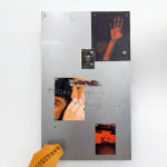 Prune Phi, Vision [Mesmerized], 2022