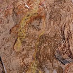 Antinea Jimena Pérez Castro, Carnet Noir, 2013