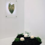 Victoria Pham, Banyan, 2025