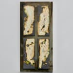 Charlotte Cornaton, Amaranthus IV