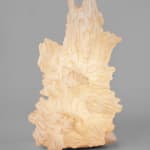 Pia Maria Raeder, Sea Anemone 22