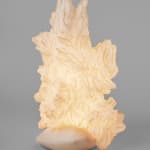 Pia Maria Raeder, Sea Anemone 22