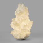 Pia Maria Raeder, Sea Anemone 22