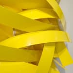 Matt Devine, Wilson's Warbler, 2024