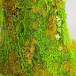 Sophie DeFrancesca, Control of the Masses 22, 2016