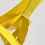 Matt Devine, Wilson's Warbler, 2024