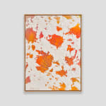 Matt Cauchi, Operose 7, 2025