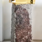 VLADIMIR ZBYNOVSKY, Capteur Moyen, 2022