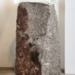 VLADIMIR ZBYNOVSKY, Capteur Moyen, 2022