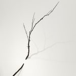 CRISTINA ALMODOVAR, INTERSECTION, 2025