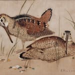 Paul Marcueyz, Bécasses se disputant un ver