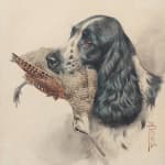 Boris Riab, Spaniel à la bécasse