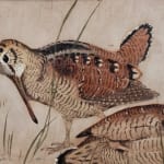 Paul Marcueyz, Bécasses se disputant un ver