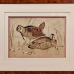 Paul Marcueyz, Bécasses se disputant un ver