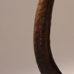 Dany Continsouzas, Chevreuil