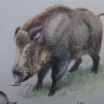 Thumbnail of additional image