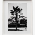 KOKA RAMISHVILI, Coffee, 2009