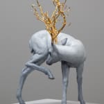 Coderch & Malavia, Walking in Beauty, 2023