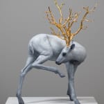 Coderch & Malavia, Walking in Beauty, 2023
