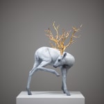 Coderch & Malavia, Walking in Beauty, 2023
