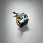Matthias Verginer, Came Across, 2022