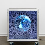 Peter Kogler, Sans titre, 2024