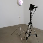 Tony Oursler, Sound Digressions, 2006